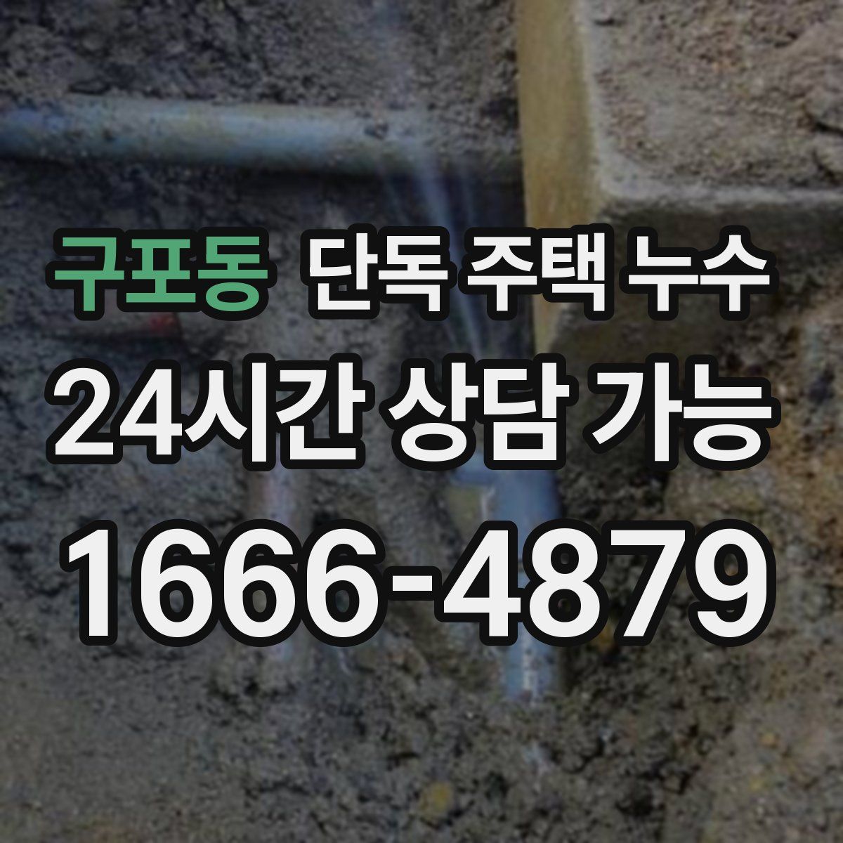 구포동 단독 주택 누수