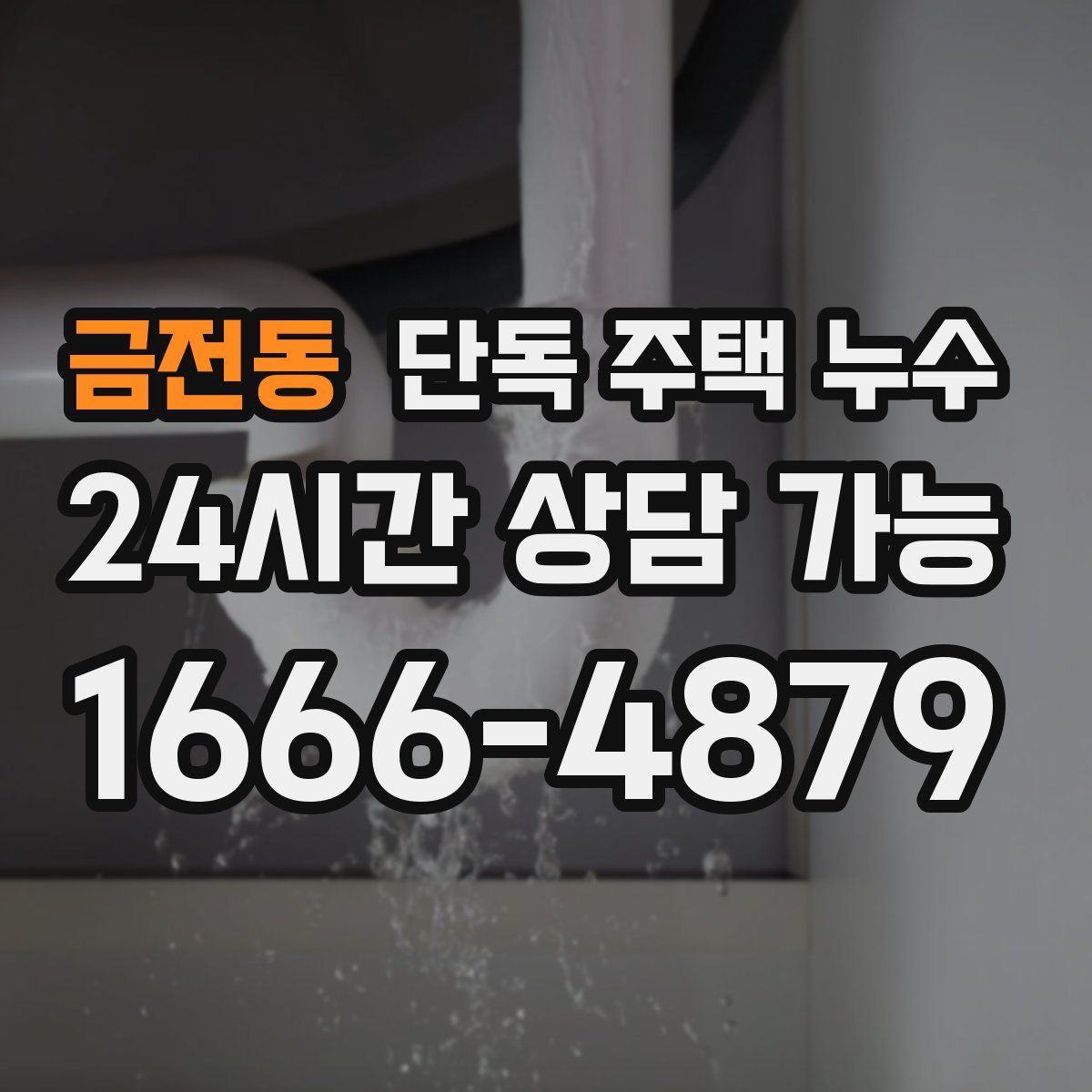 금전동 단독 주택 누수