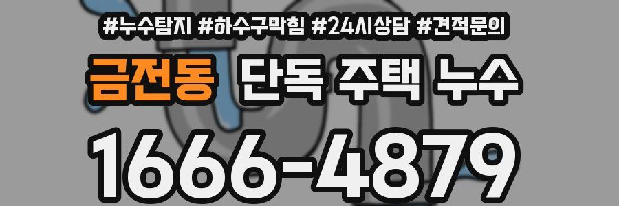 금전동 단독 주택 누수