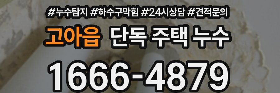 고아읍 단독 주택 누수