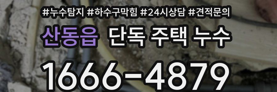 산동읍 단독 주택 누수