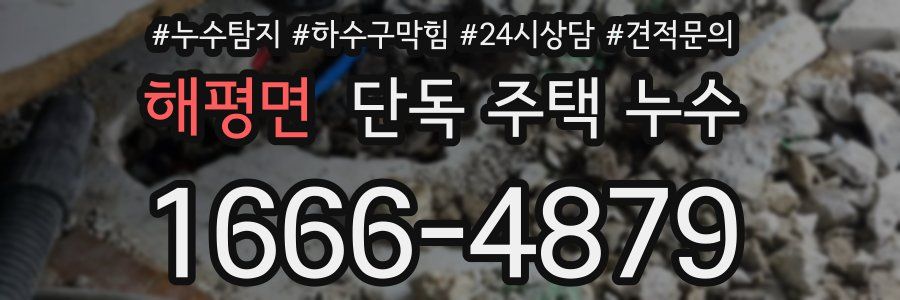 해평면 단독 주택 누수