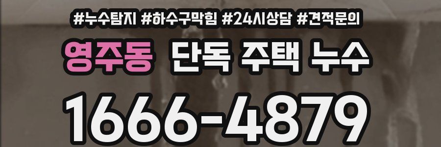 영주동 단독 주택 누수