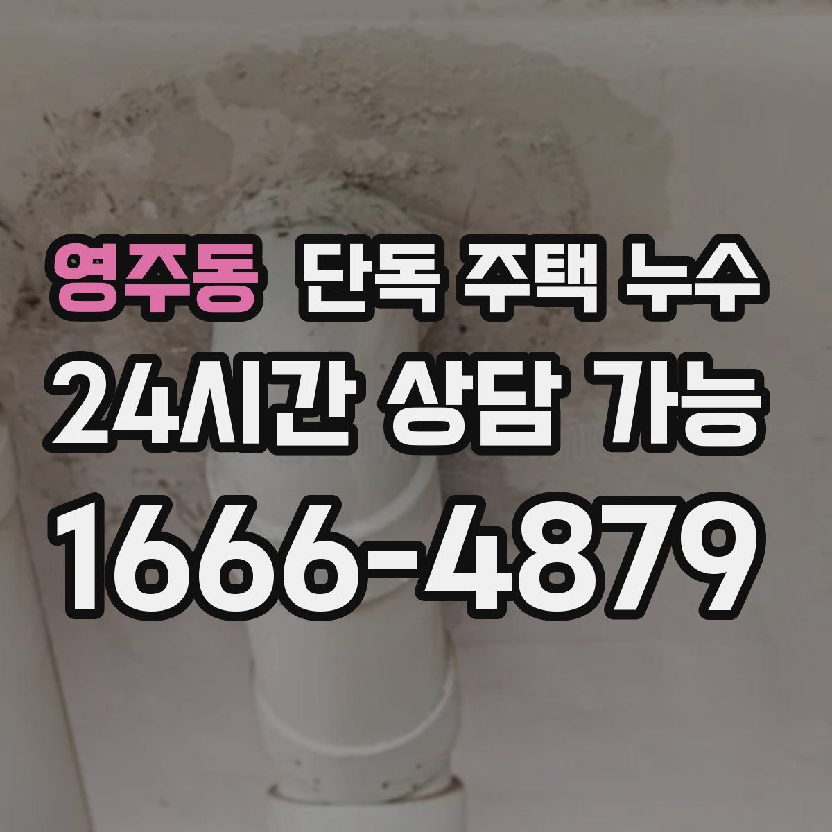 영주동 단독 주택 누수