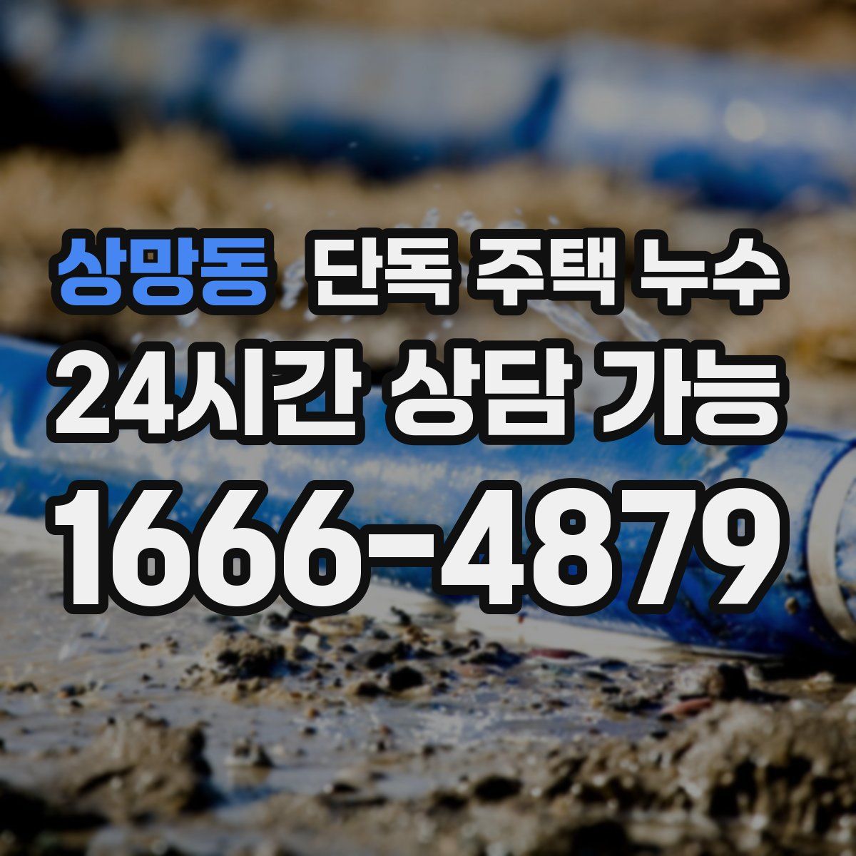 상망동 단독 주택 누수