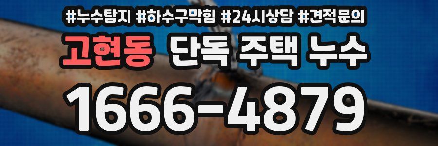 고현동 단독 주택 누수