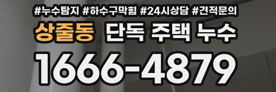 상줄동 단독 주택 누수