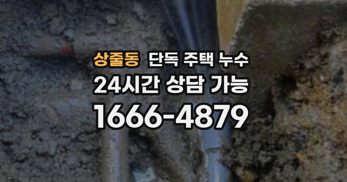 상줄동 단독 주택 누수