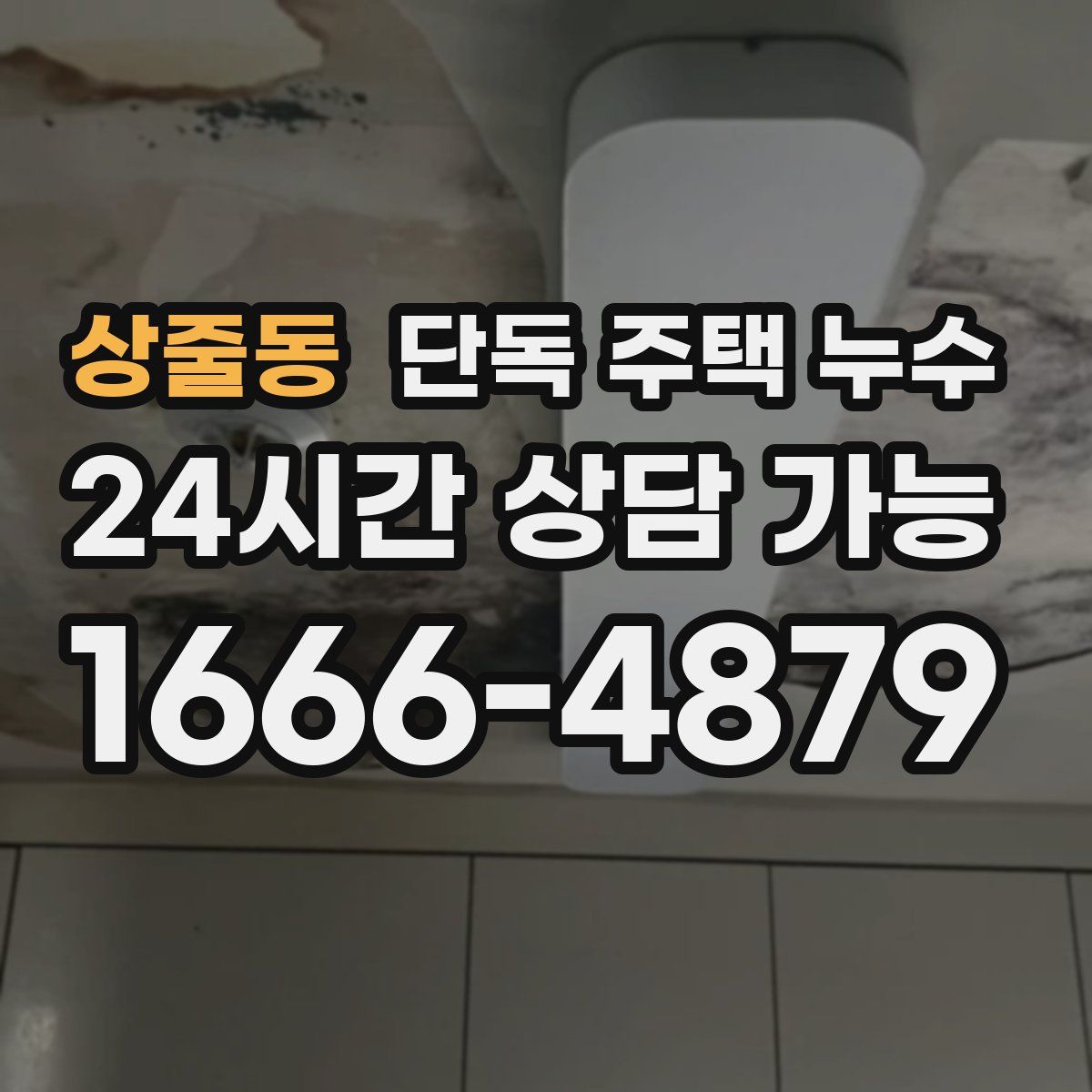 상줄동 단독 주택 누수