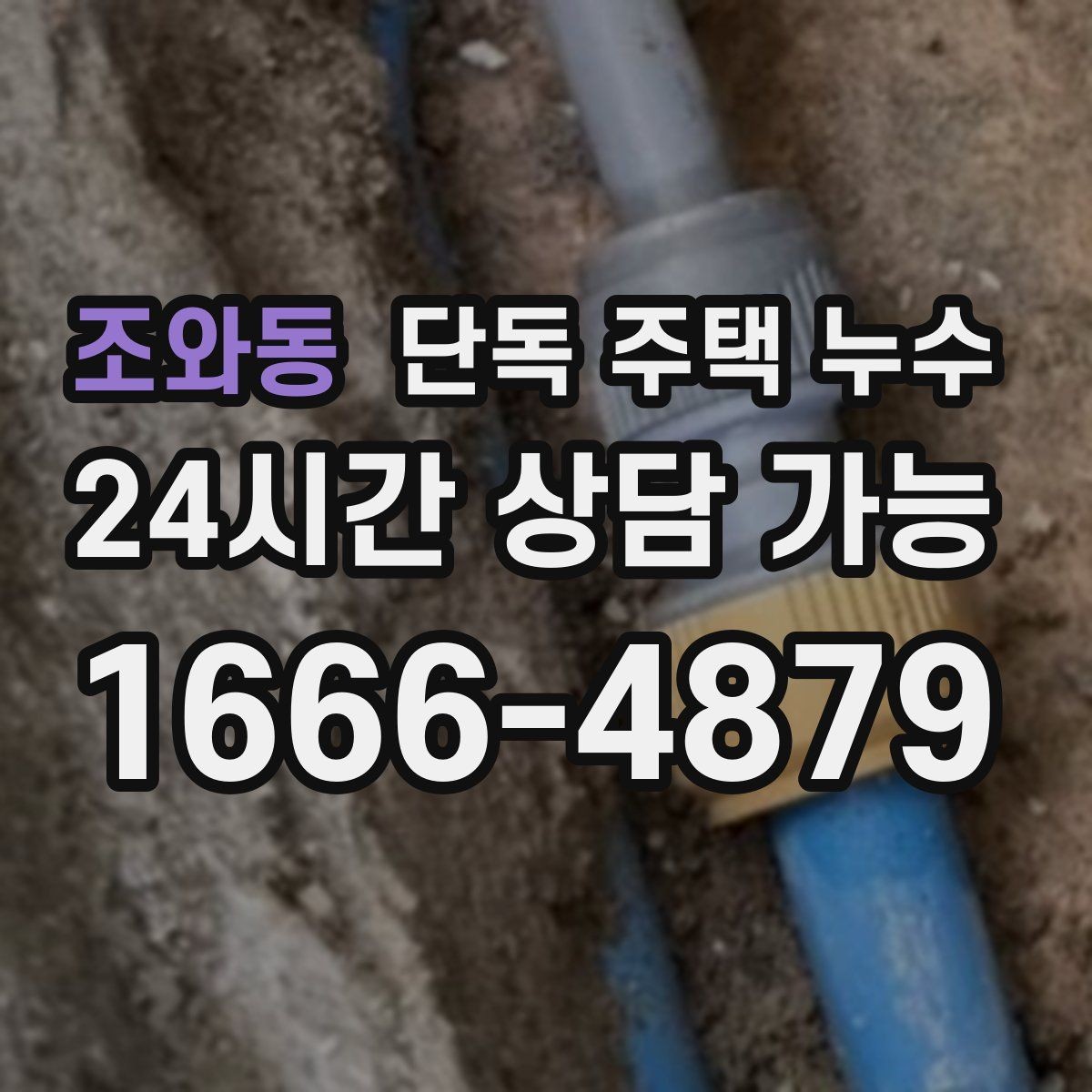 조와동 단독 주택 누수 욕실 문턱 주변 물이 고일 때