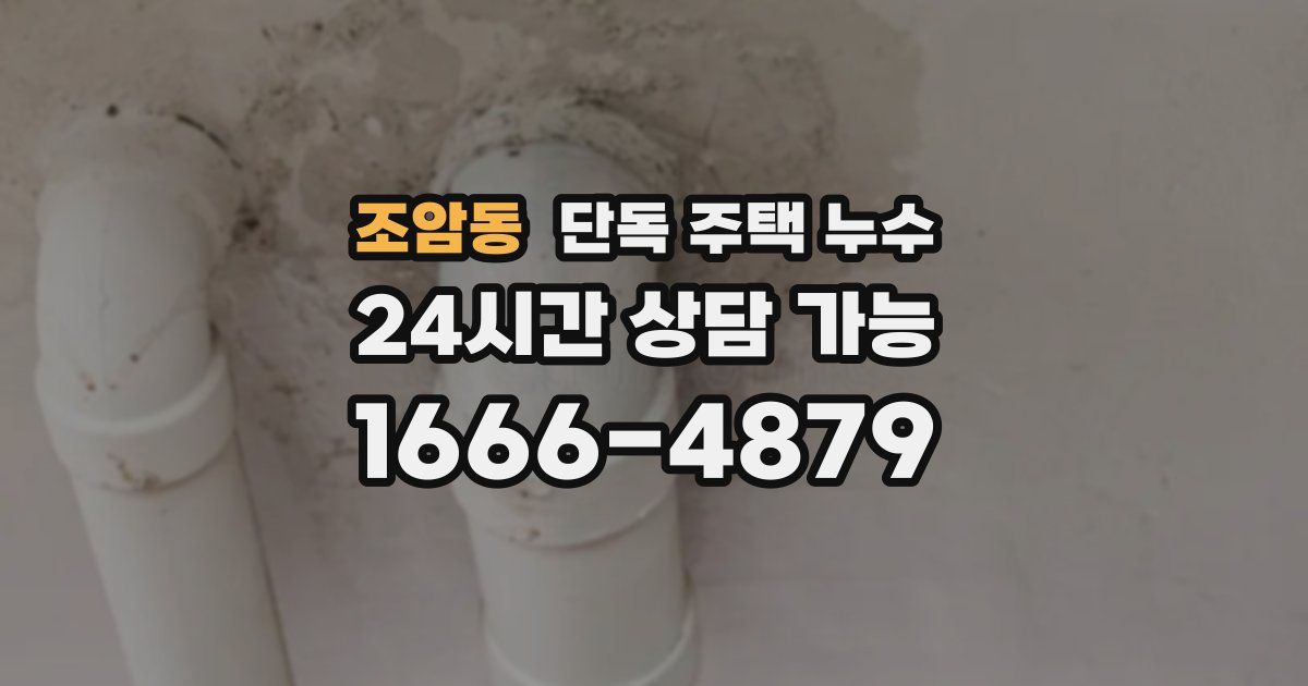 조암동 단독 주택 누수