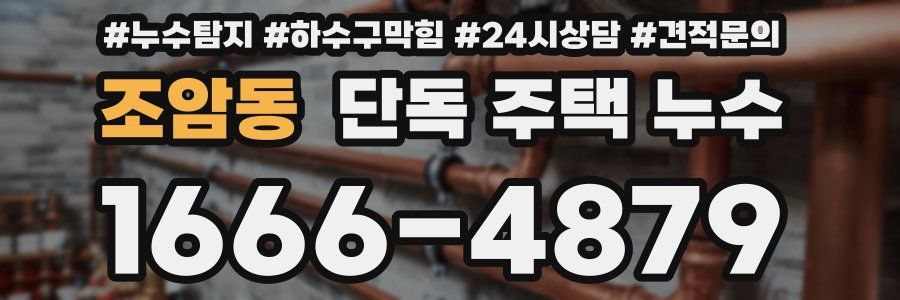 조암동 단독 주택 누수