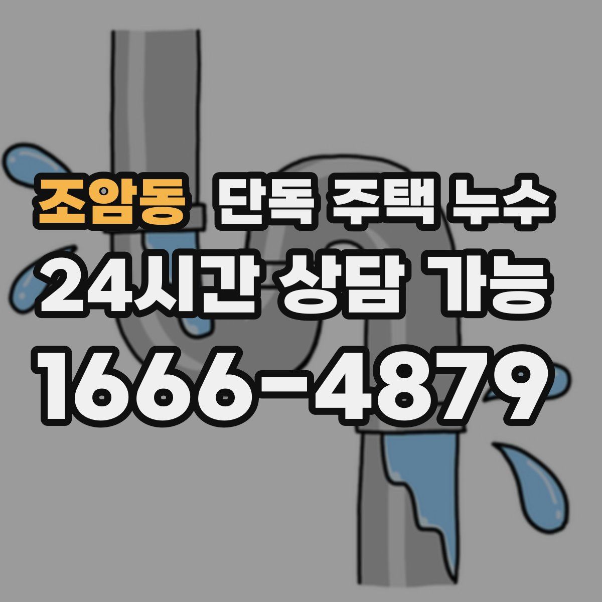 조암동 단독 주택 누수