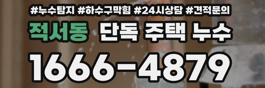 적서동 단독 주택 누수