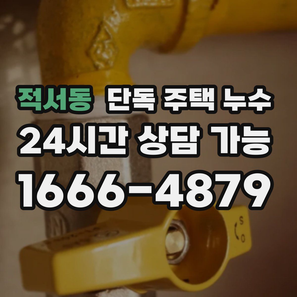 적서동 단독 주택 누수