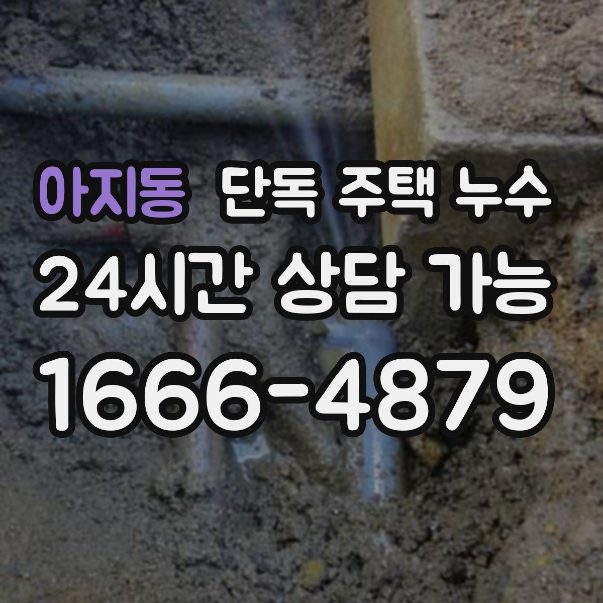 아지동 단독 주택 누수