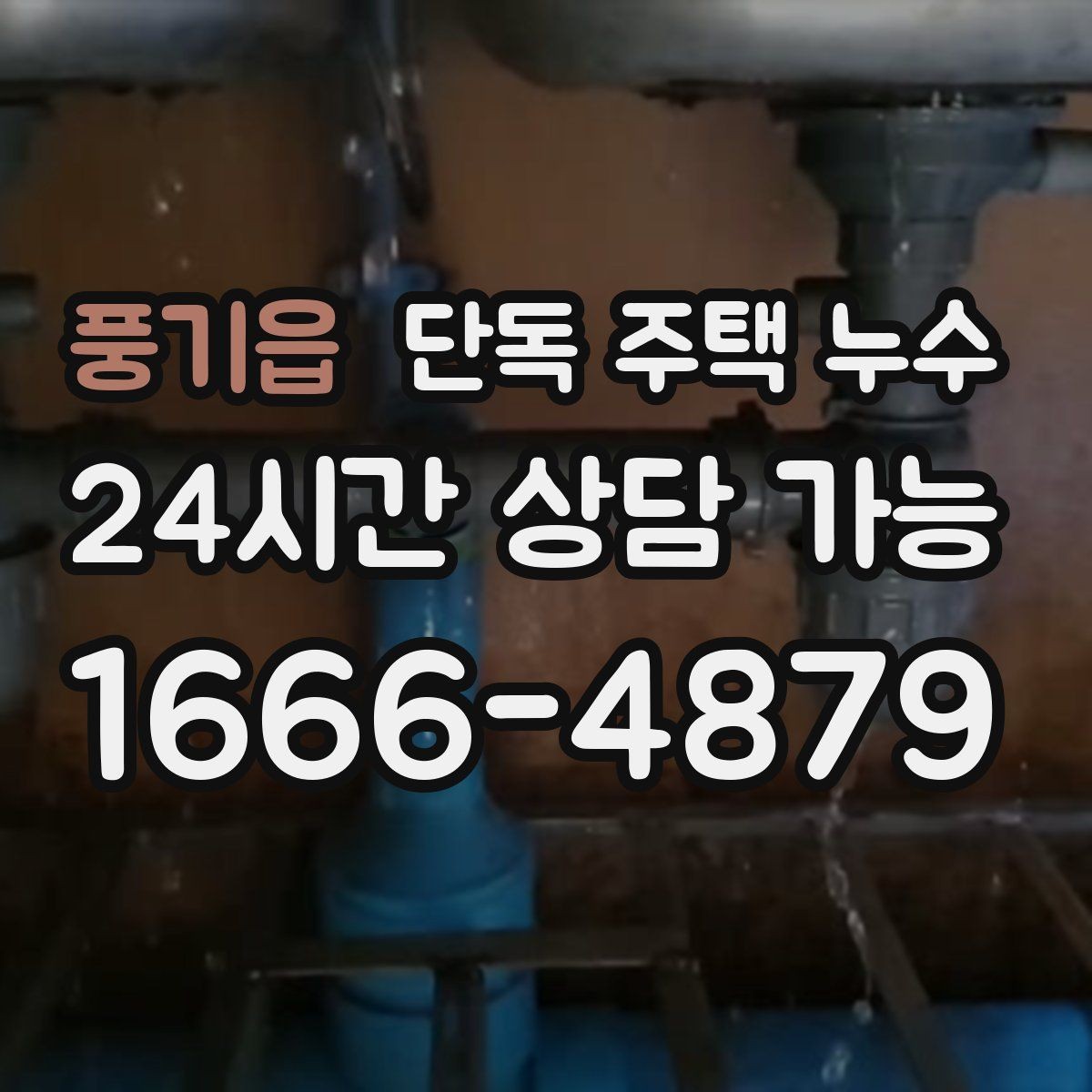 풍기읍 단독 주택 누수 지붕에서 물 새는 증상 점검 포인트