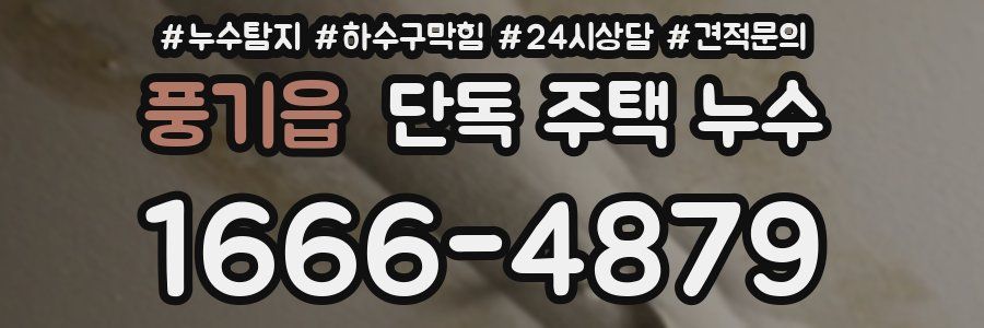 풍기읍 단독 주택 누수