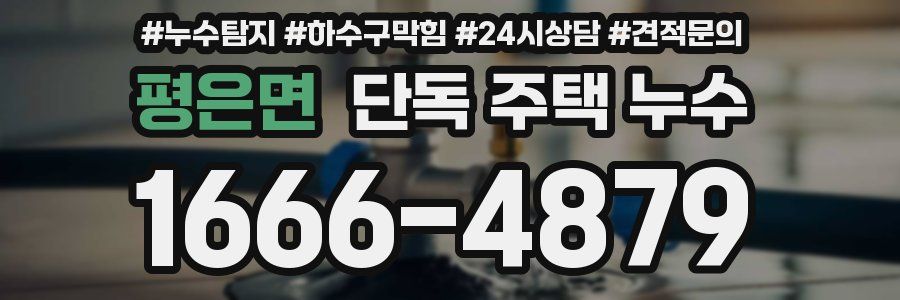 평은면 단독 주택 누수