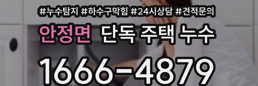 안정면 단독 주택 누수