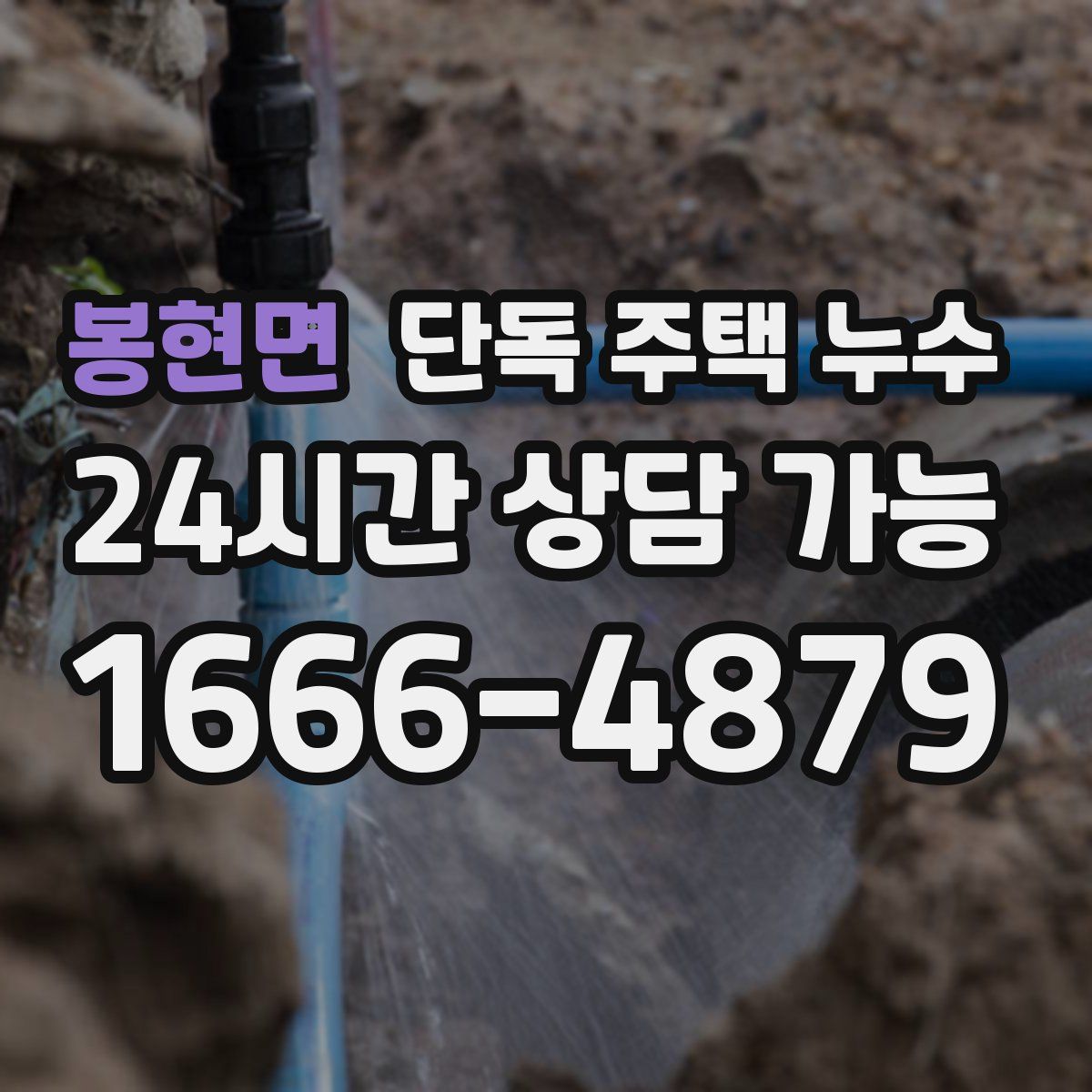 봉현면 단독 주택 누수