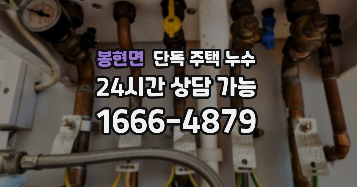 봉현면 단독 주택 누수