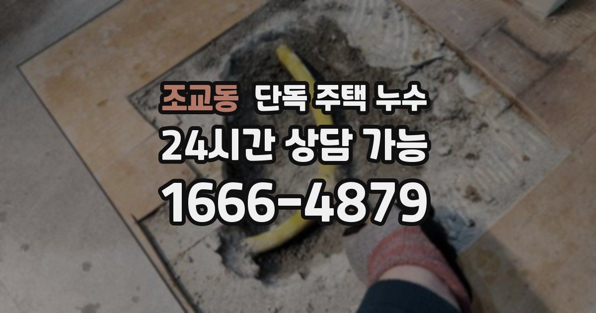조교동 단독 주택 누수