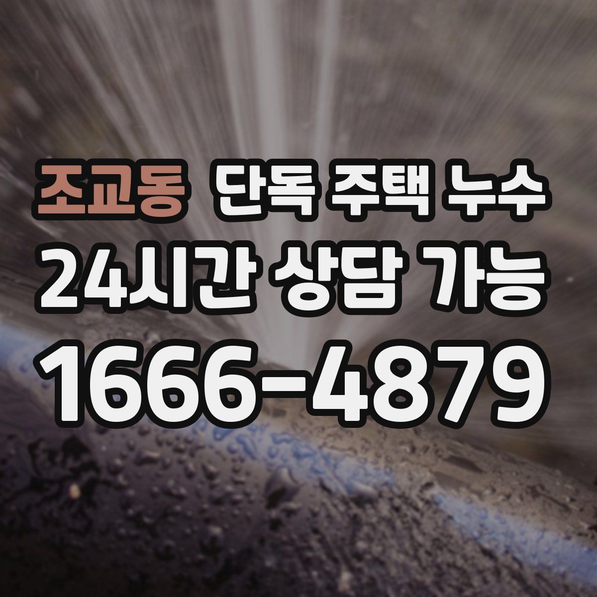 조교동 단독 주택 누수