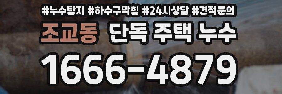 조교동 단독 주택 누수