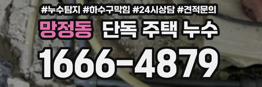 망정동 단독 주택 누수
