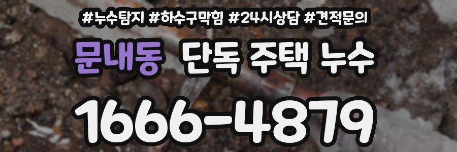 문내동 단독 주택 누수