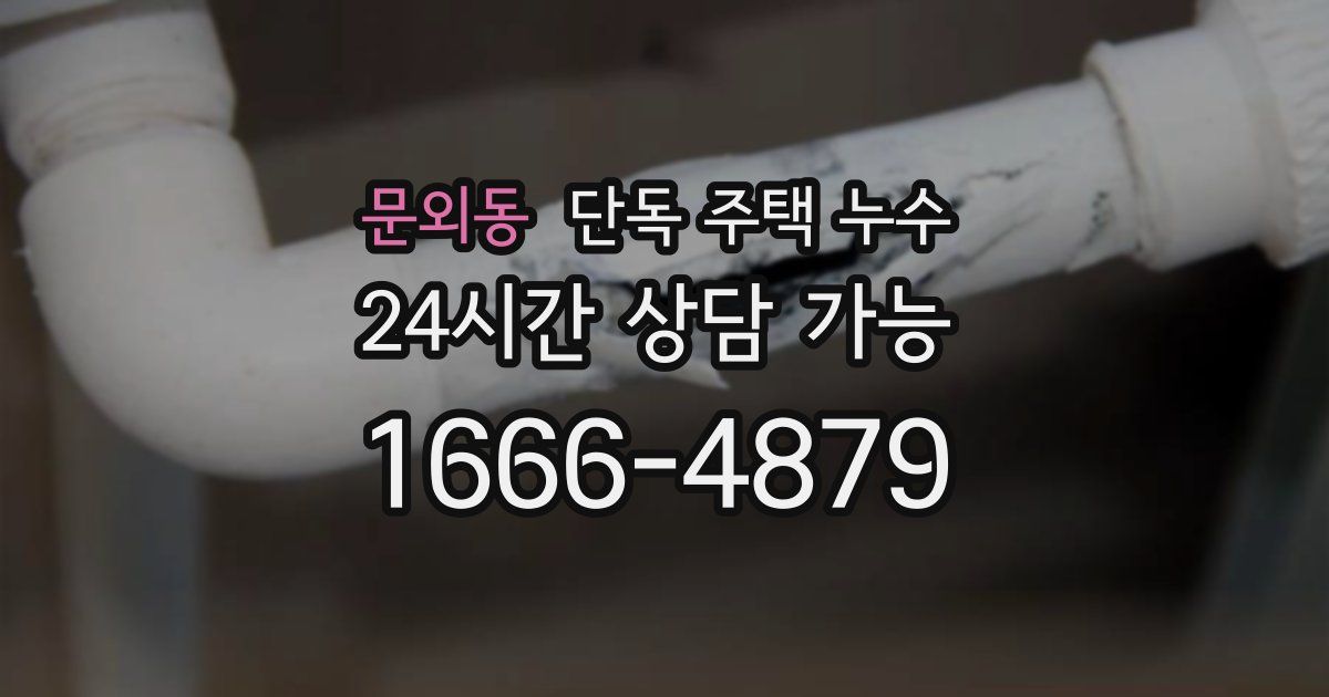 문외동 단독 주택 누수