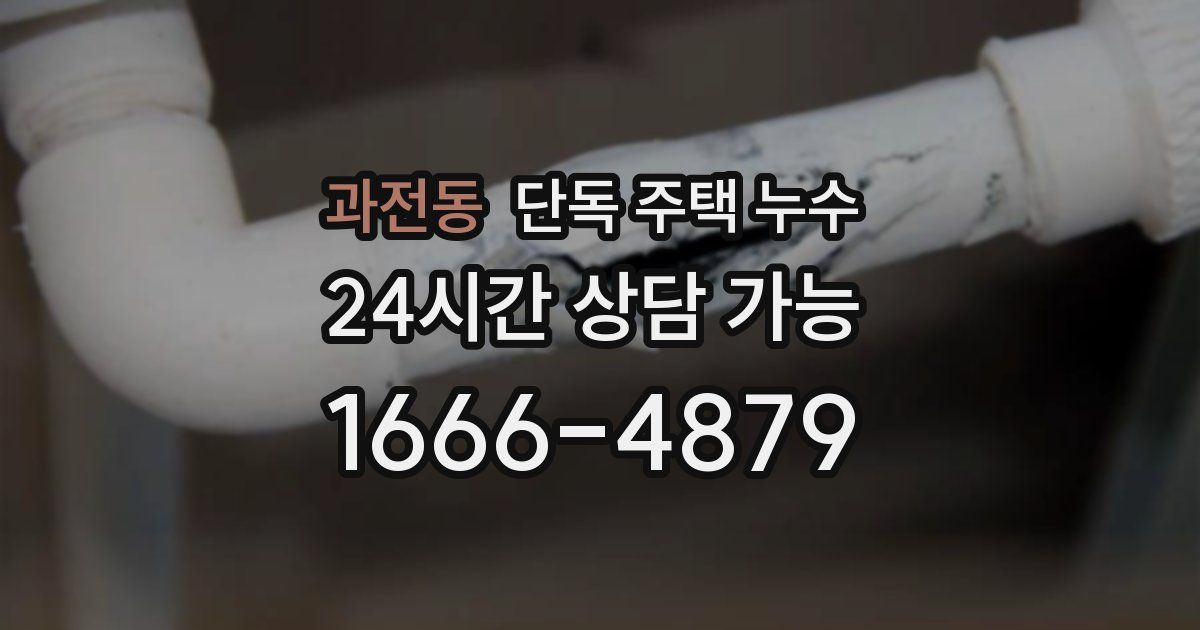 과전동 단독 주택 누수