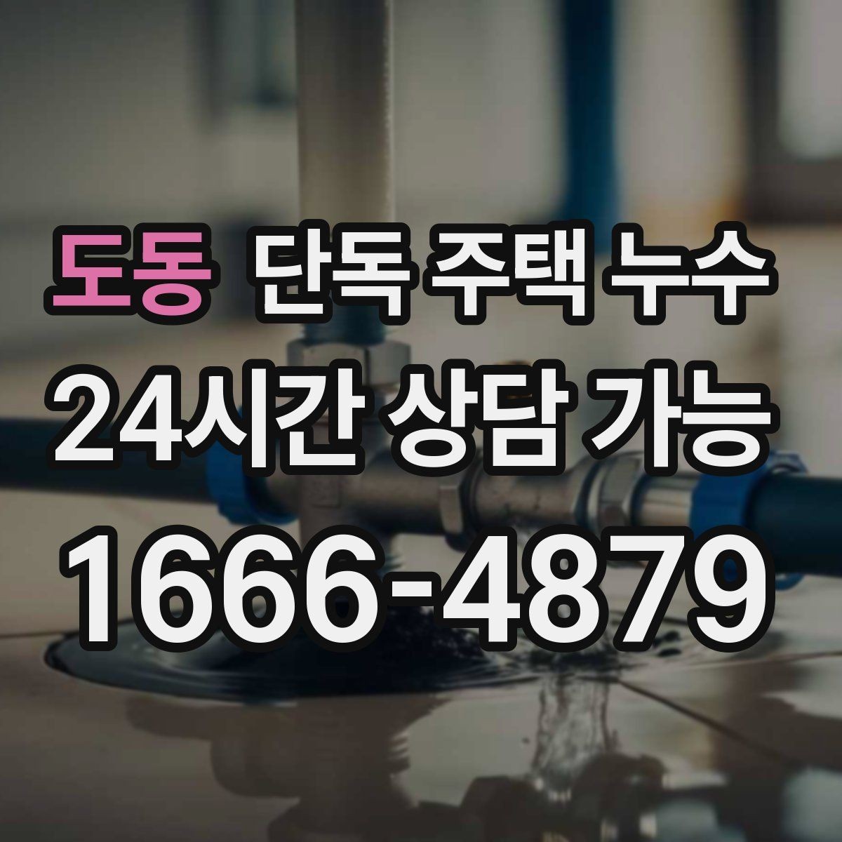 도동 단독 주택 누수 발생 위치를 좁히는 질문 10가지