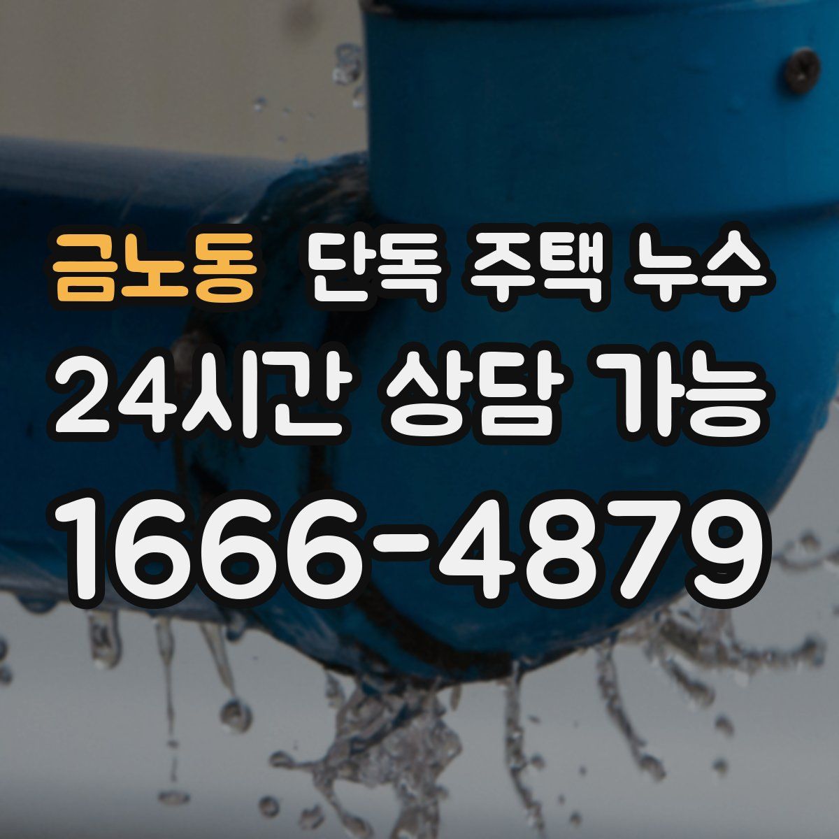 금노동 단독 주택 누수