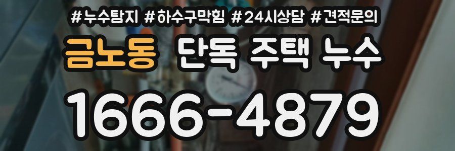 금노동 단독 주택 누수