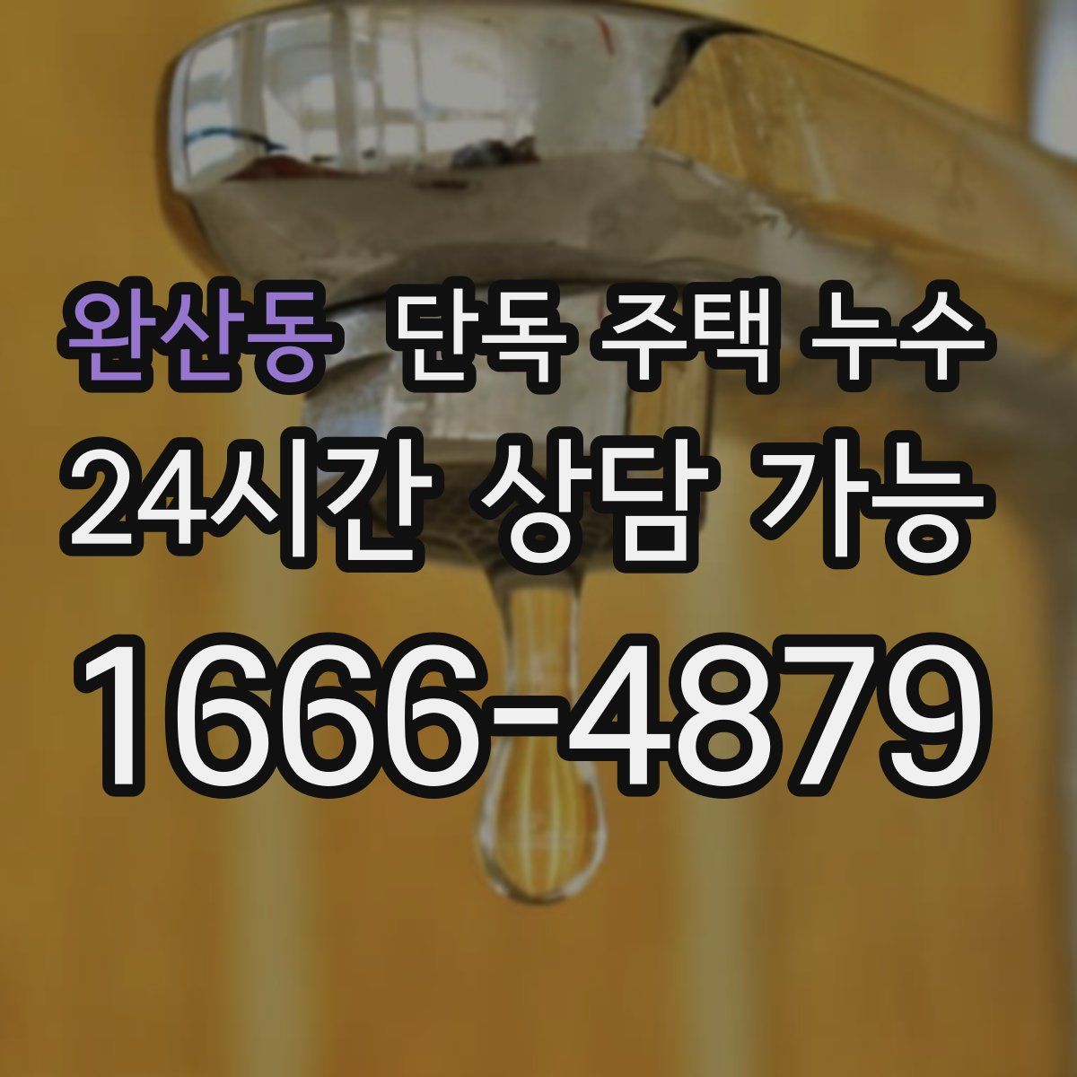 완산동 단독 주택 누수