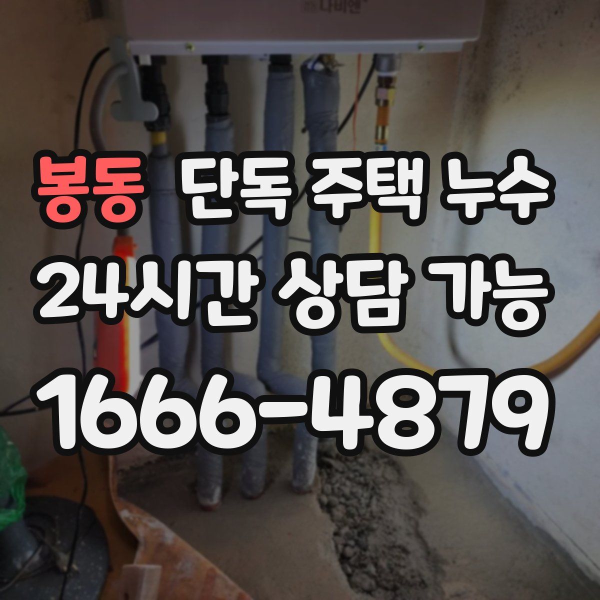 봉동 단독 주택 누수