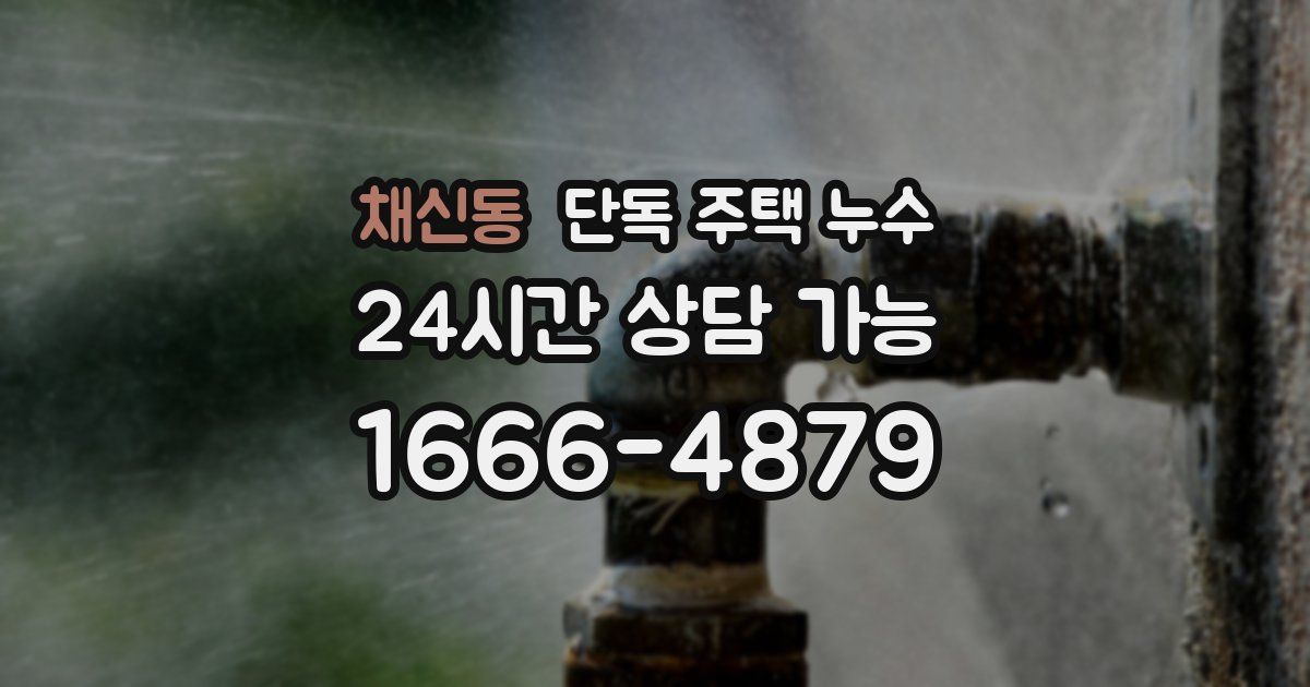 채신동 단독 주택 누수