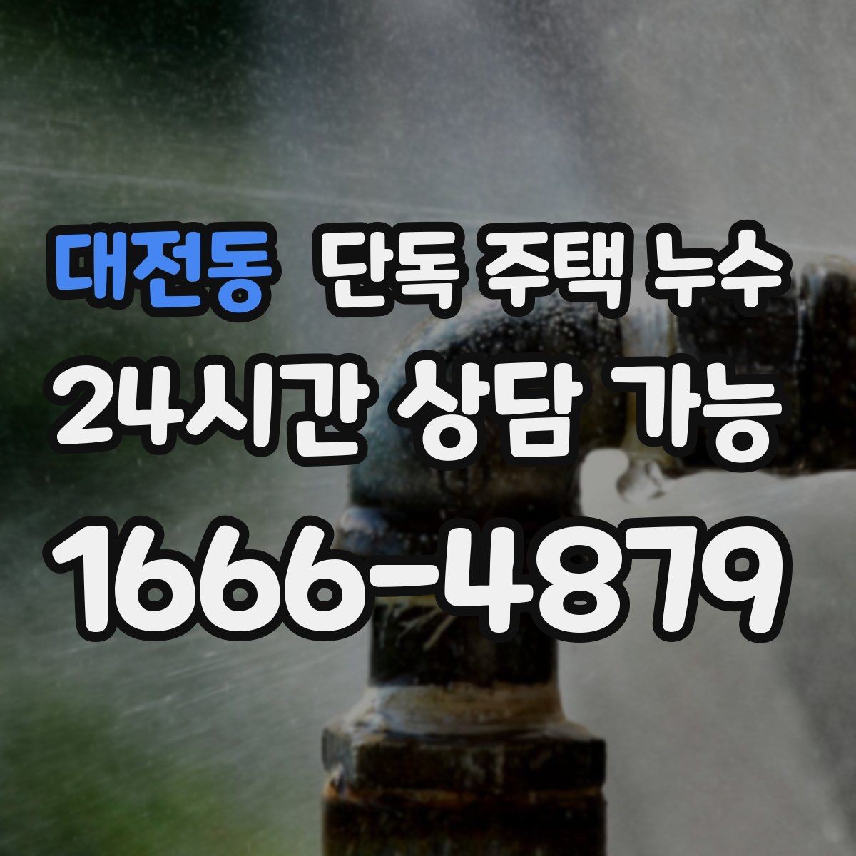 대전동 단독 주택 누수 비가 그치면 멈추는 누수의 특징