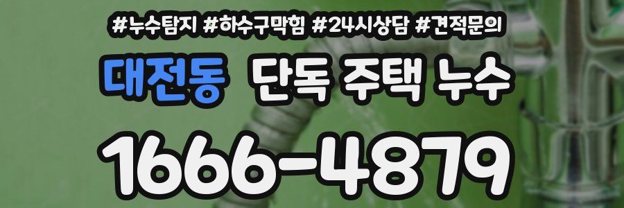 대전동 단독 주택 누수
