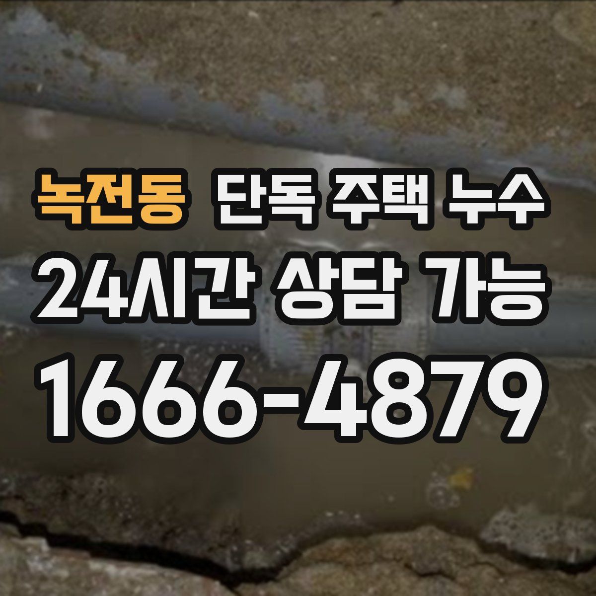 녹전동 단독 주택 누수