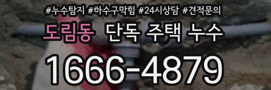도림동 단독 주택 누수