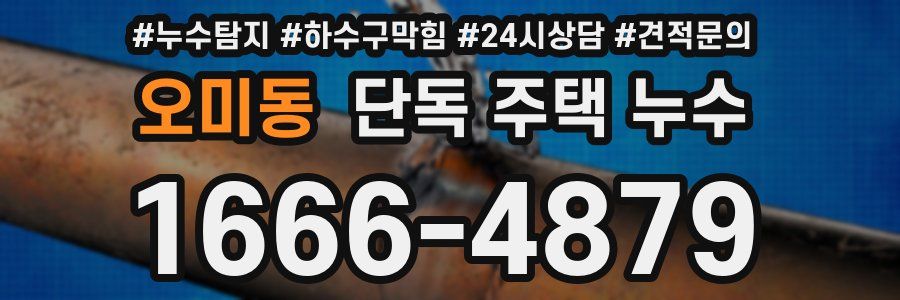 오미동 단독 주택 누수