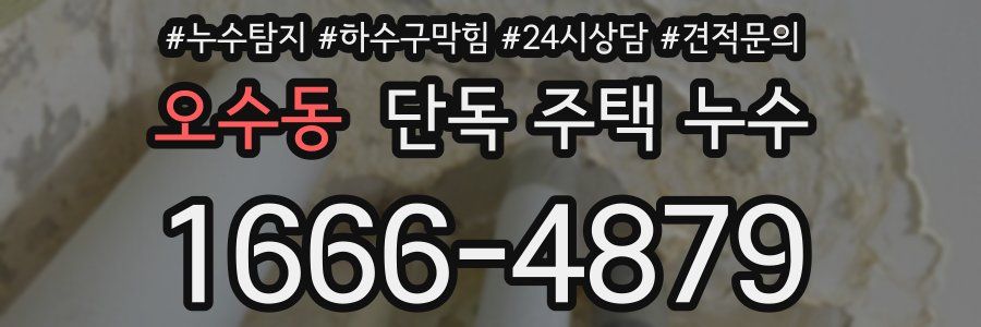 오수동 단독 주택 누수