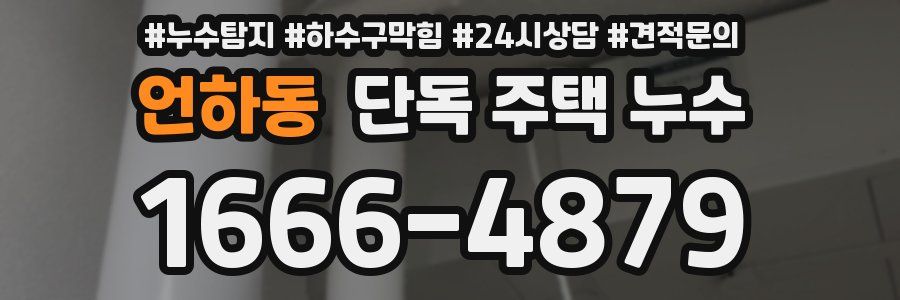 언하동 단독 주택 누수