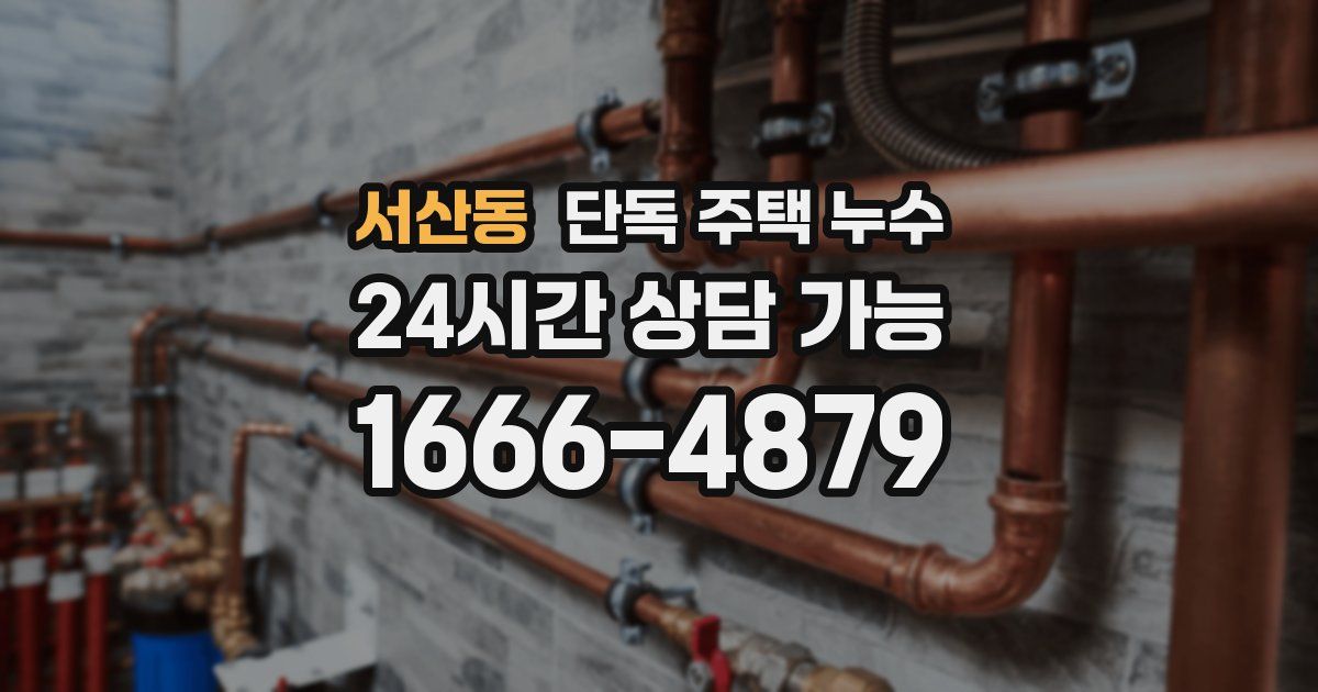 서산동 단독 주택 누수