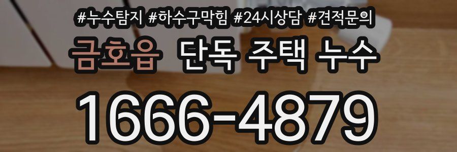 금호읍 단독 주택 누수