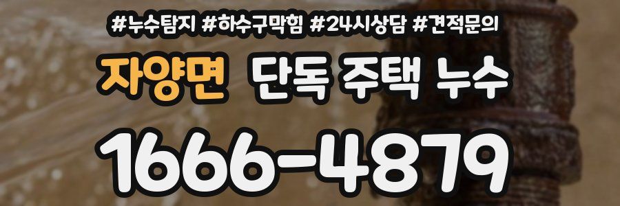 자양면 단독 주택 누수