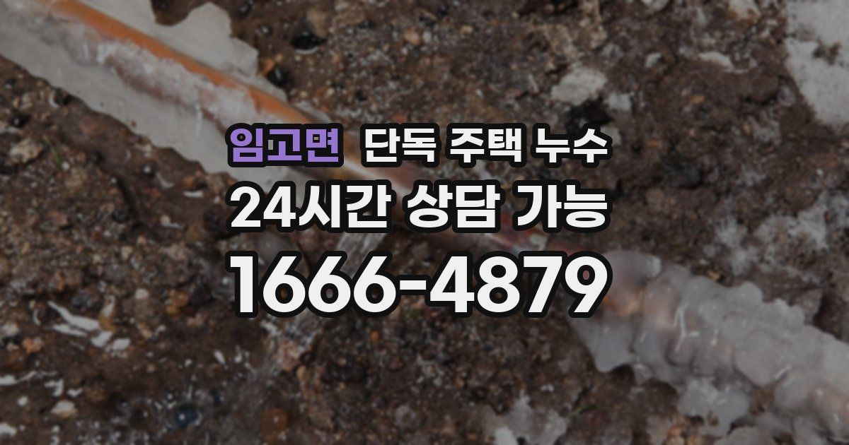 임고면 단독 주택 누수